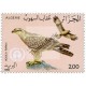 Oiseaux d'Afrique du Nord