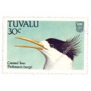 Oiseaux des îles Tuvalu